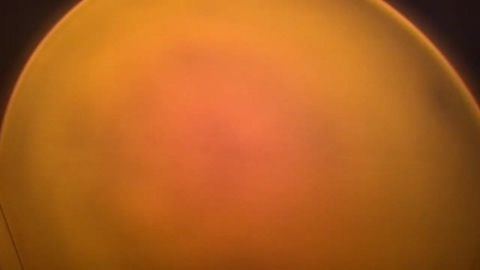 clay_parker  03-06-2022